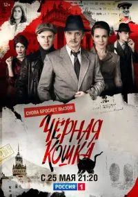 сериал Черная кошка (сериал, 2016) 1 сезон смотреть онлайн на Лордфильм